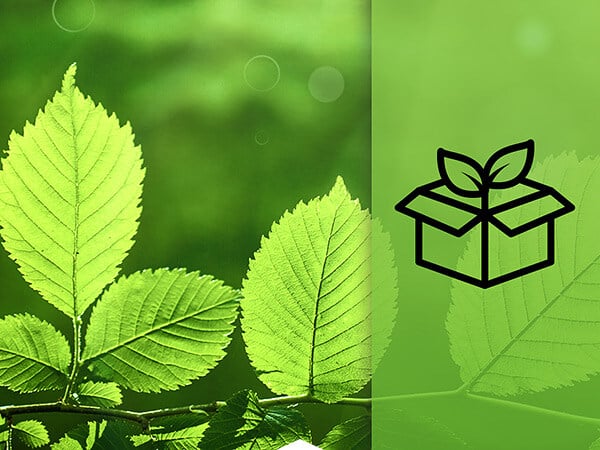 Blog-Greener-Future